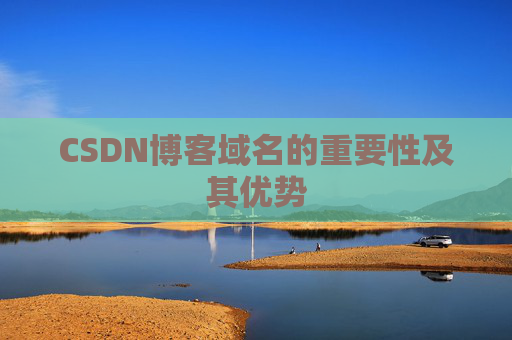 CSDN博客域名的重要性及其优势